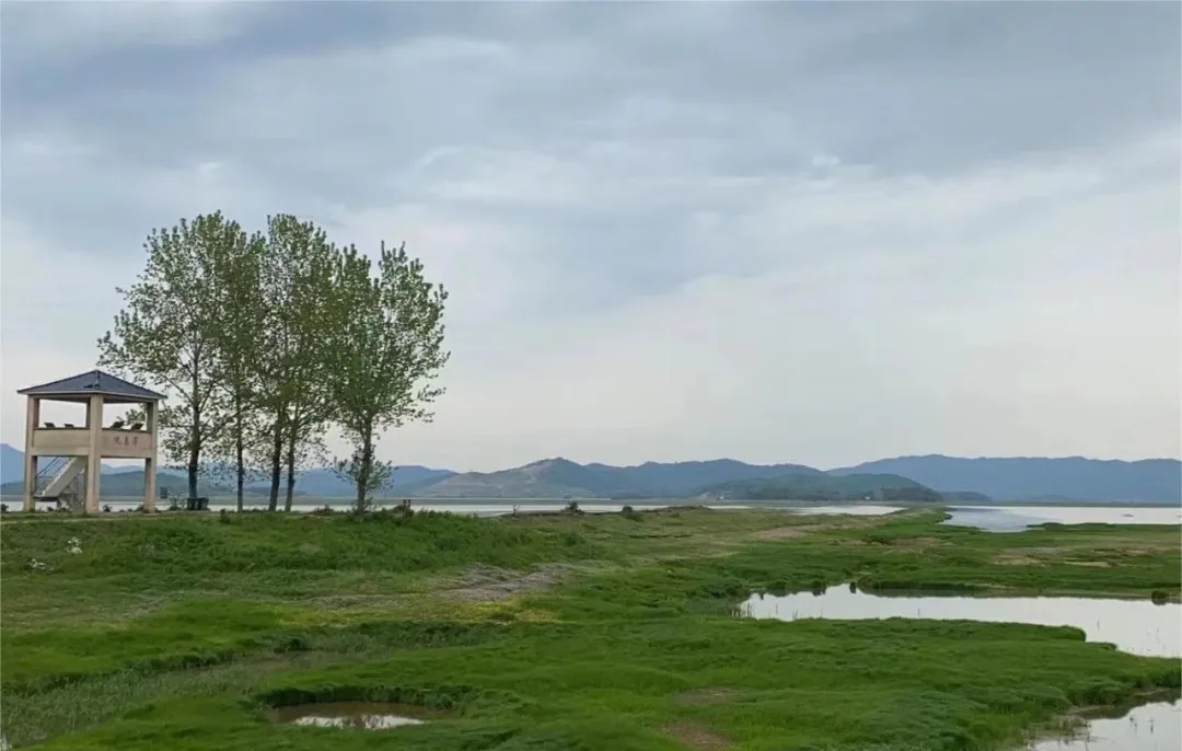 安徽安慶菜子湖國家濕地公園生態旅游招商項目