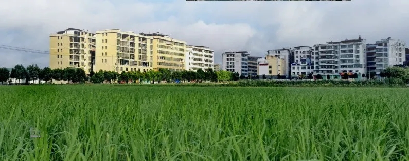 江西上犹县乡村振兴产业园